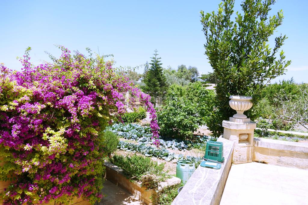 Zejtun<br>Farmhouse