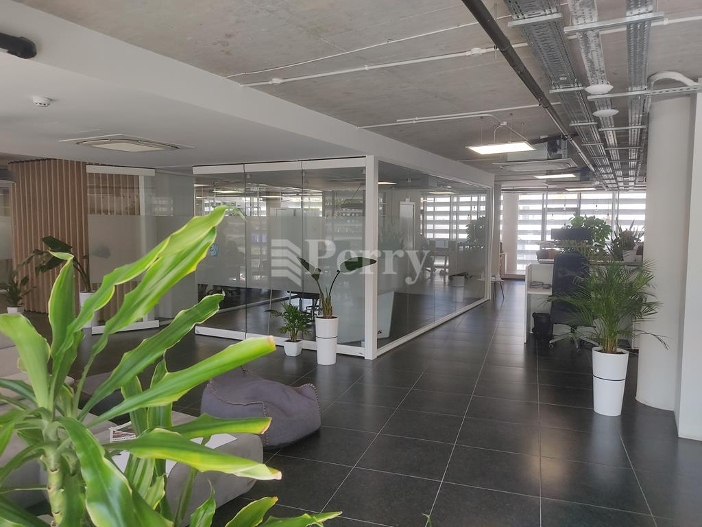 Msida<br>Office